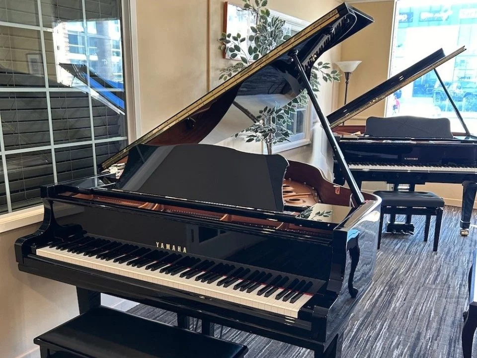 YAMAHA GC1 PE - Elite Piano