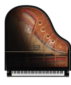 YAMAHA C1X TA2 TRANSACOUSTIC™