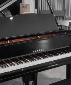YAMAHA GC2 PE (USED)