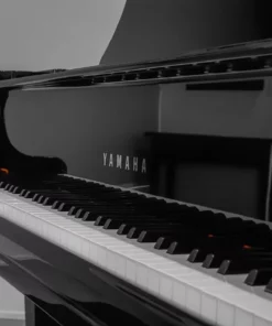 YAMAHA GC2 PE (USED)