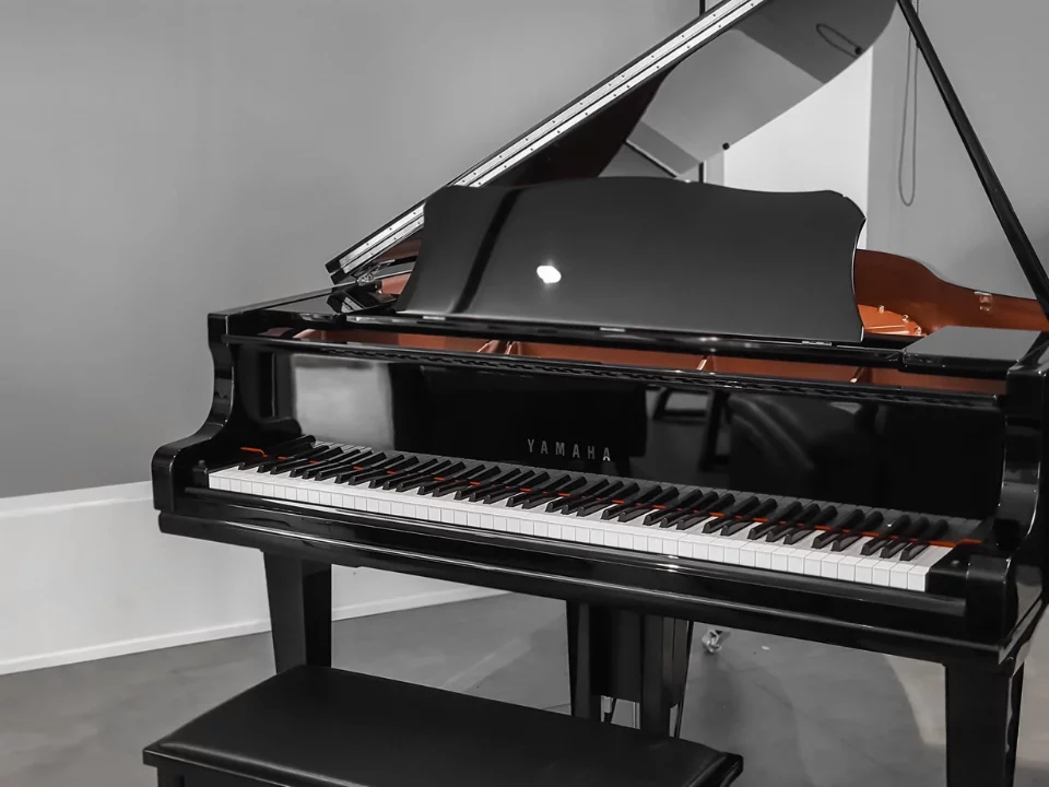YAMAHA GC2 PE