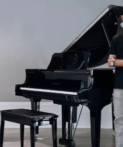 YAMAHA GC2 PE