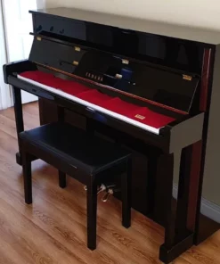 YAMAHA JX113T PE