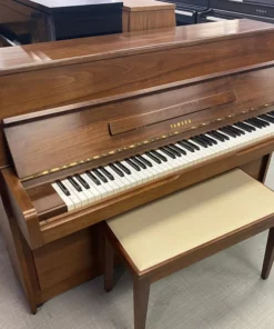 YAMAHA M2 SBW