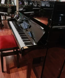 YAMAHA MC10 BiC