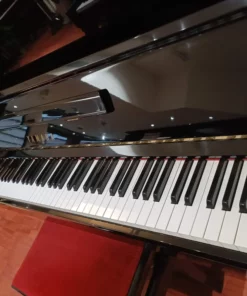 YAMAHA MC10 BiC