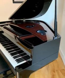 AVANT GRAND N3 (NEW)