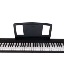 YAMAHA NP-31