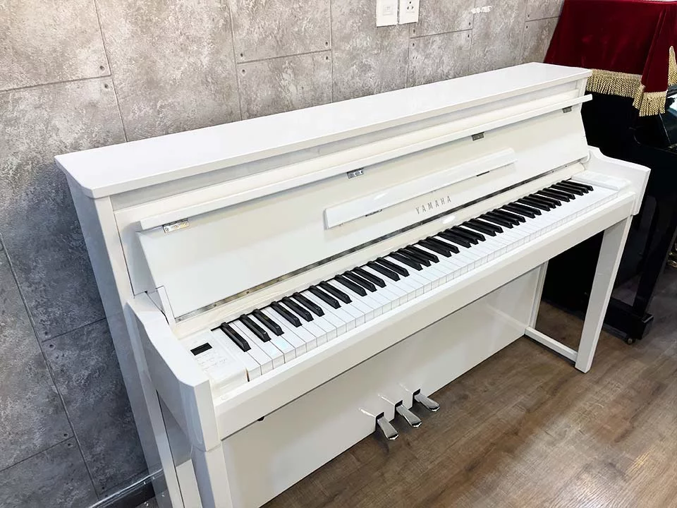 YAMAHA NU1 Custom
