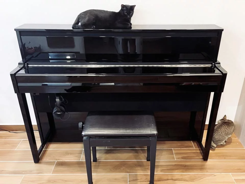 YAMAHA NU1X