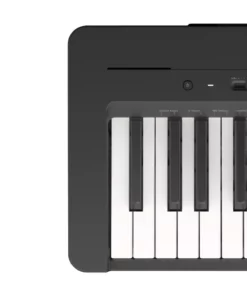 YAMAHA P-145BT