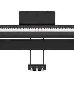 YAMAHA P-225B (Only Piano)