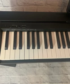 YAMAHA P45