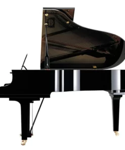 YAMAHA S5X | PREMIUM GRAND (USED)