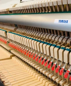 YAMAHA U1 SH3 PE