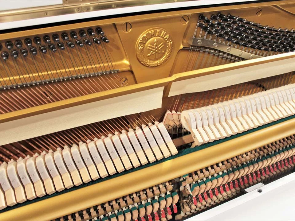 YAMAHA U1 Wh