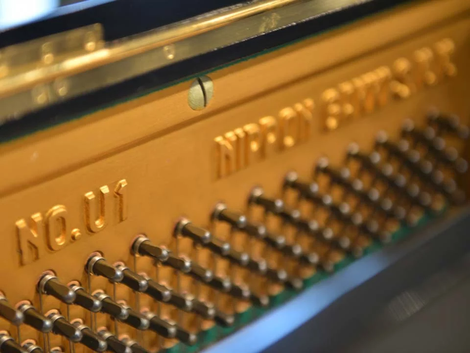 YAMAHA U1D