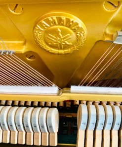 YAMAHA U1G