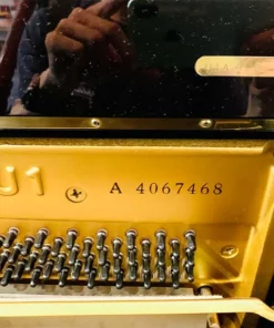 YAMAHA U1M