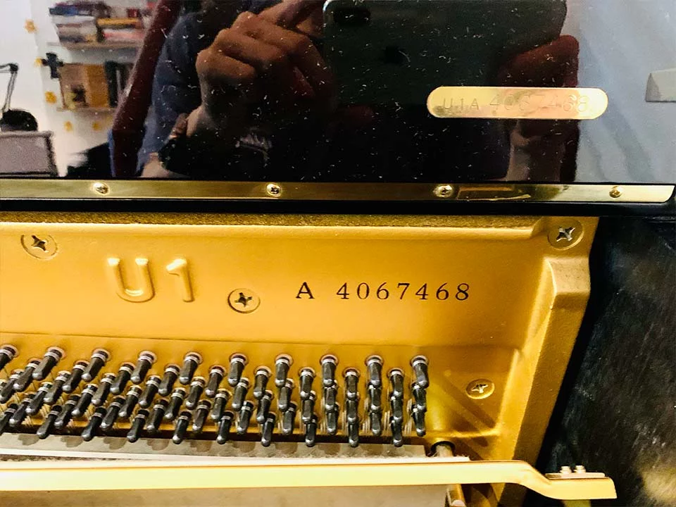 YAMAHA U1M