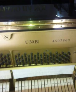 YAMAHA U30BL Disk Player