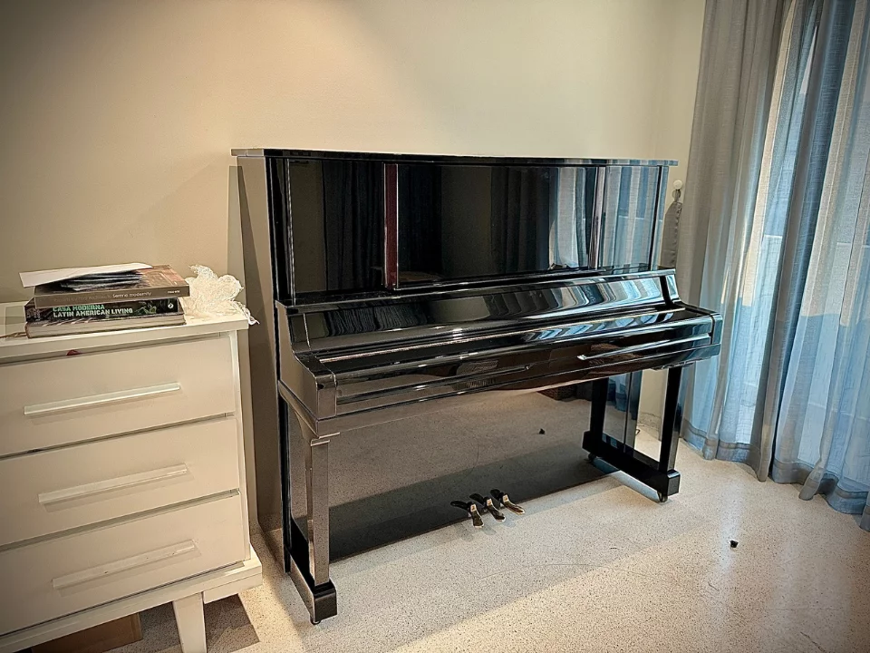 YAMAHA UX300S