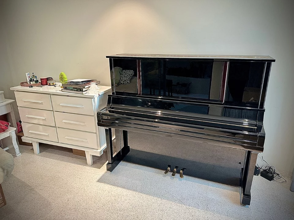 YAMAHA UX300S