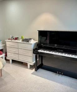 YAMAHA UX300S