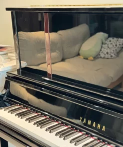 YAMAHA UX300S