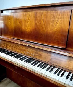 YAMAHA W101 Wn Seri 2.3