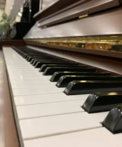 YAMAHA WX106W