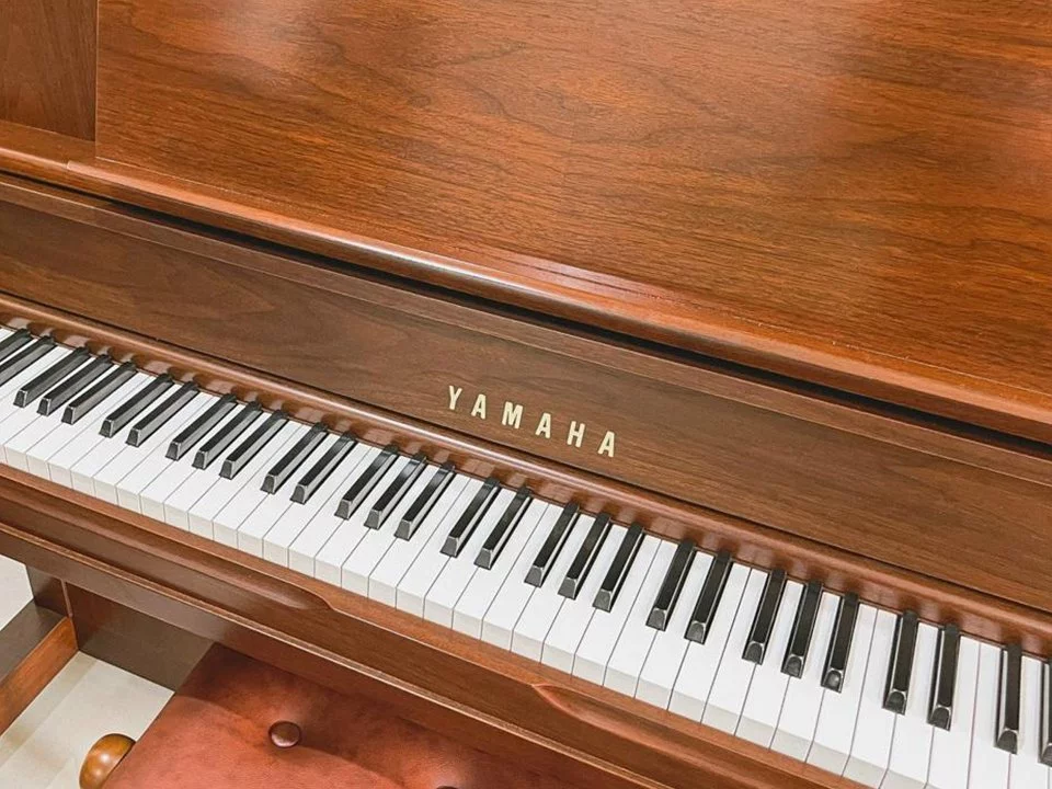 YAMAHA WX1A Wn