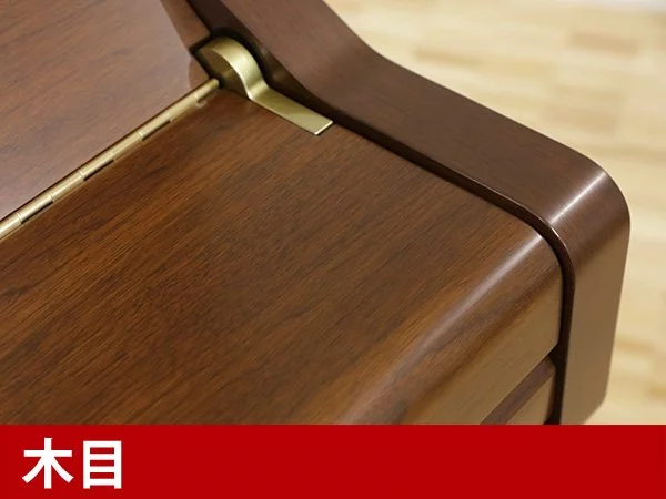 YAMAHA YU10 WnC