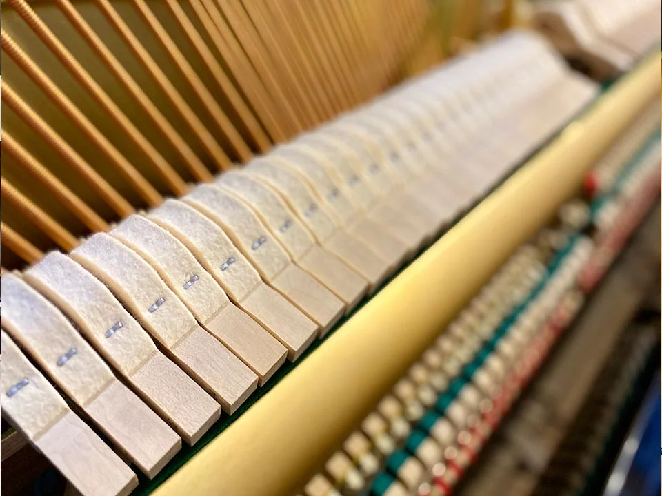 YAMAHA YU3