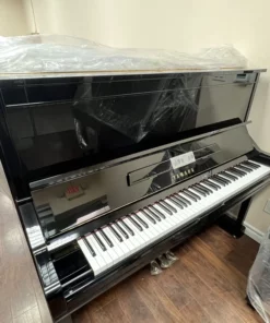 YAMAHA YU3 SXG