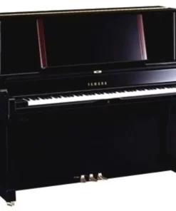 YAMAHA YU5 Wn