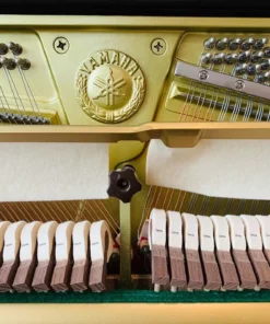 YAMAHA YUS5 SH3 PE (new)