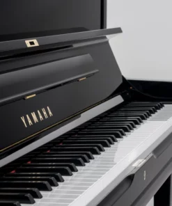 YAMAHA YUS1 AW