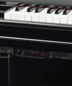 YAMAHA YUS5 TA2 TRANSACOUSTIC™
