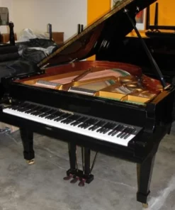 Zimmermann Z175 Standard