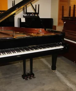 Zimmermann Z175 Standard